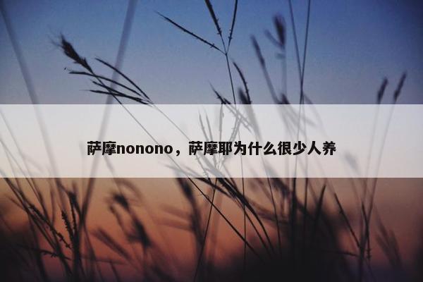 萨摩nonono，萨摩耶为什么很少人养