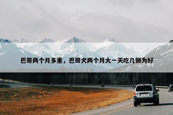 巴哥两个月多重,巴哥犬两个月大一天吃几顿为好