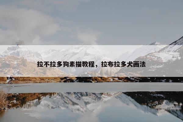 拉不拉多狗素描教程，拉布拉多犬画法