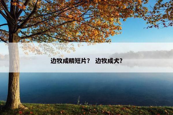 边牧成精短片？ 边牧成犬？