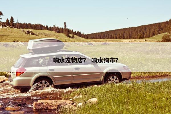 响水宠物店？ 响水狗市？