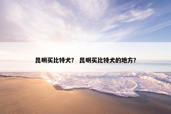 昆明买比特犬？ 昆明买比特犬的地方？