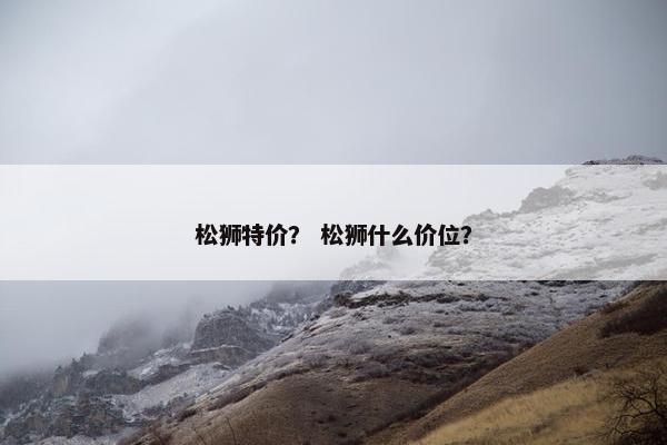 松狮特价？ 松狮什么价位？