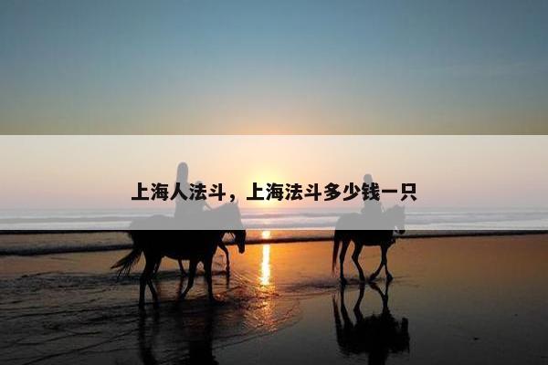 上海人法斗，上海法斗多少钱一只