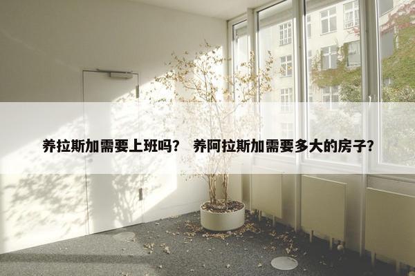 养拉斯加需要上班吗？ 养阿拉斯加需要多大的房子？