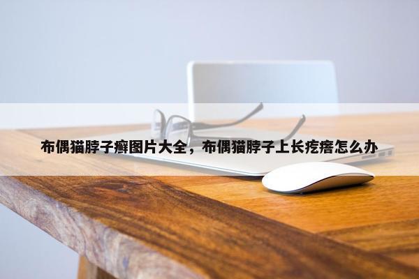 布偶猫脖子癣图片大全,布偶猫脖子上长疙瘩怎么办