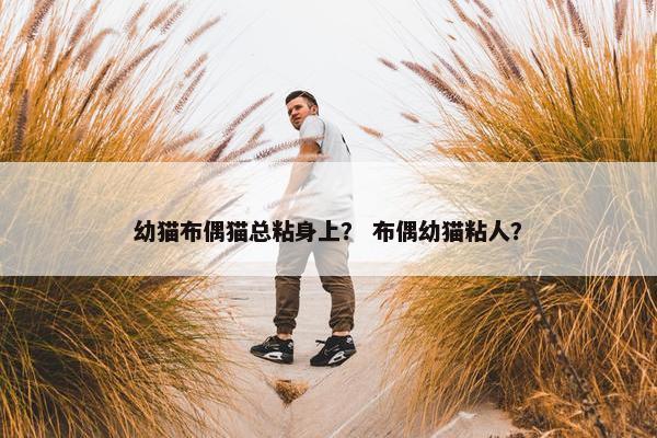 幼猫布偶猫总粘身上? 布偶幼猫粘人?