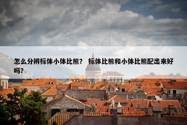 怎么分辨标体小体比熊？ 标体比熊和小体比熊配出来好吗？