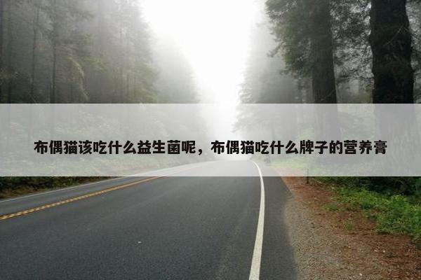 布偶猫该吃什么益生菌呢,布偶猫吃什么牌子的营养膏