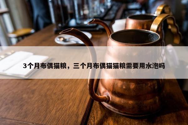 3个月布偶猫粮,三个月布偶猫猫粮需要用水泡吗