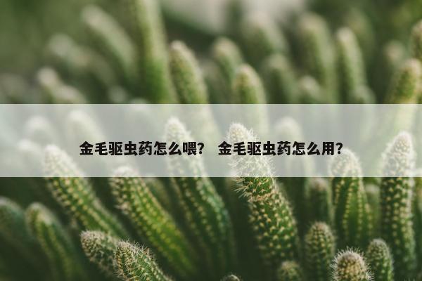 金毛驱虫药怎么喂？ 金毛驱虫药怎么用？
