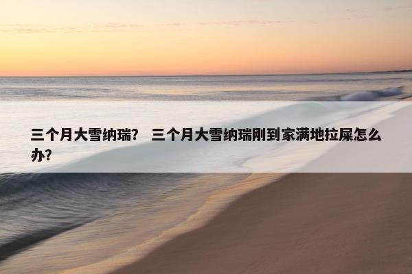 三个月大雪纳瑞？ 三个月大雪纳瑞刚到家满地拉屎怎么办？