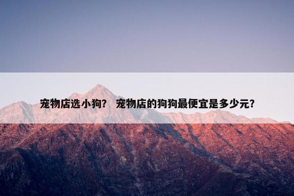 宠物店选小狗？ 宠物店的狗狗最便宜是多少元？