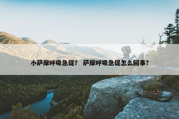 小萨摩呼吸急促？ 萨摩呼吸急促怎么回事？