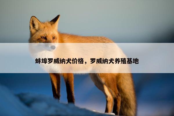 蚌埠罗威纳犬价格，罗威纳犬养殖基地