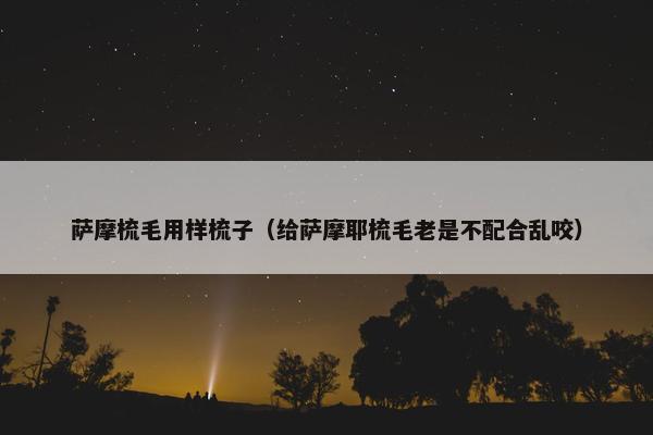 萨摩梳毛用样梳子（给萨摩耶梳毛老是不配合乱咬）
