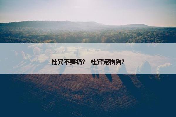 杜宾不要扔？ 杜宾宠物狗？