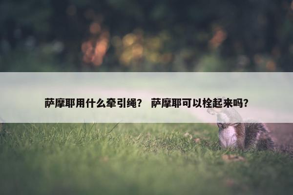 萨摩耶用什么牵引绳？ 萨摩耶可以栓起来吗？