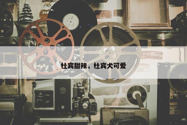 杜宾甜辣，杜宾犬可爱