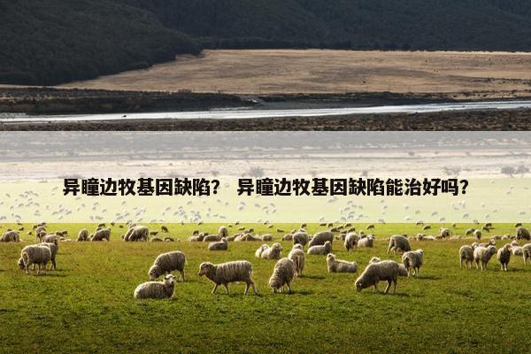 异瞳边牧基因缺陷？ 异瞳边牧基因缺陷能治好吗？