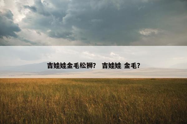 吉娃娃金毛松狮？ 吉娃娃 金毛？