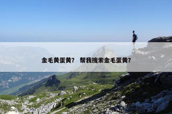 金毛黄蛋黄？ 帮我搜索金毛蛋黄？