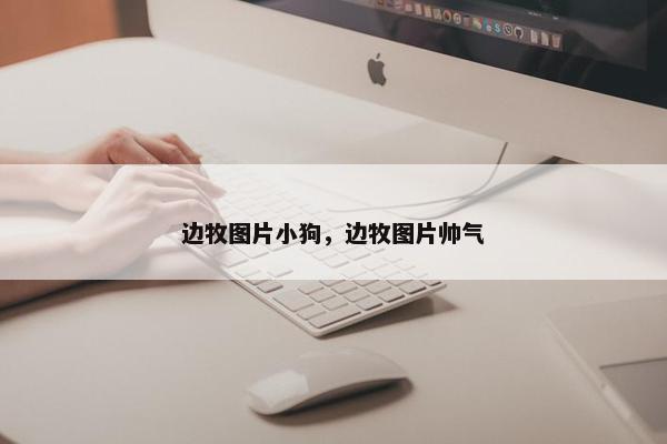 边牧图片小狗，边牧图片帅气