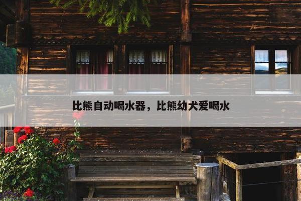 比熊自动喝水器，比熊幼犬爱喝水