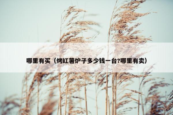 哪里有买(烤红薯炉子多少钱一台?哪里有卖)