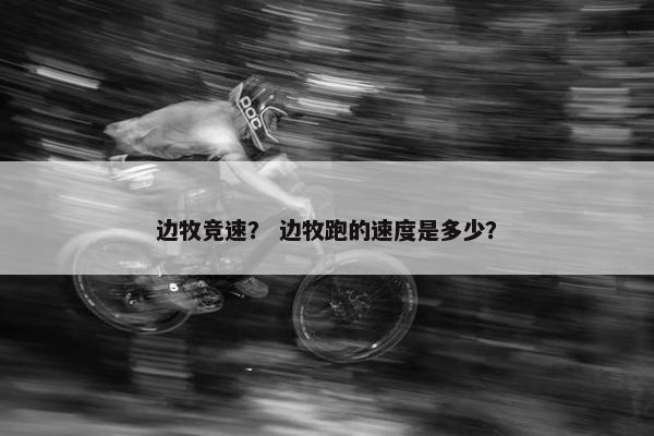 边牧竞速? 边牧跑的速度是多少?