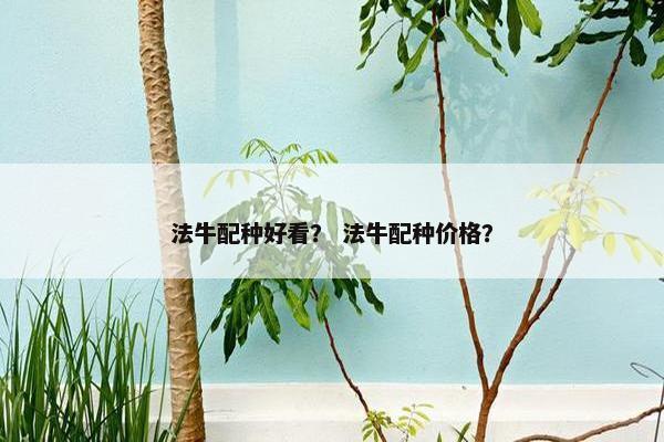 法牛配种好看？ 法牛配种价格？