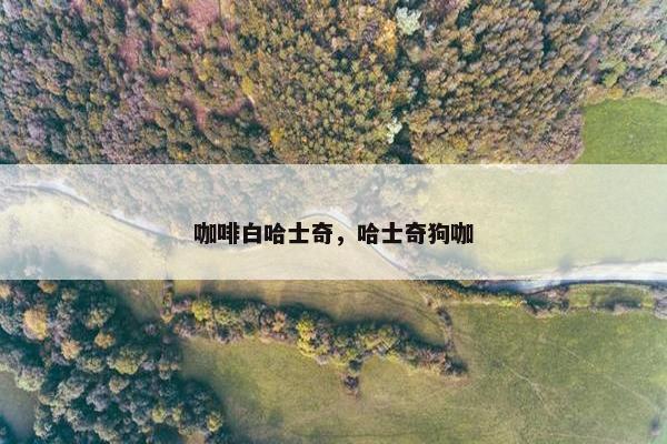 咖啡白哈士奇，哈士奇狗咖