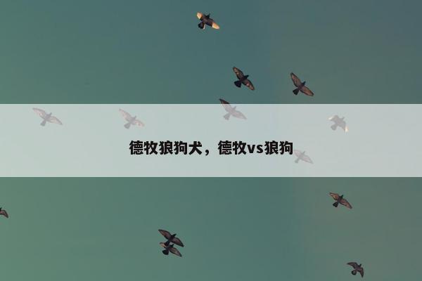 狼狗 第4页