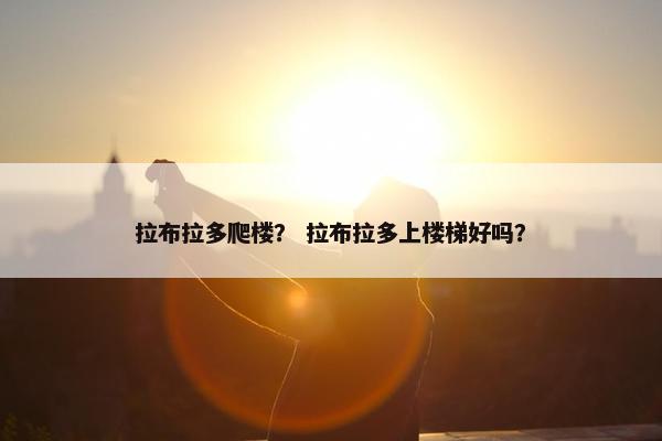 拉布拉多爬楼？ 拉布拉多上楼梯好吗？