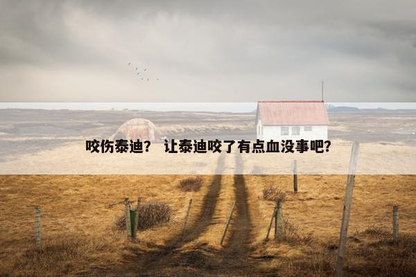 咬伤泰迪？ 让泰迪咬了有点血没事吧？