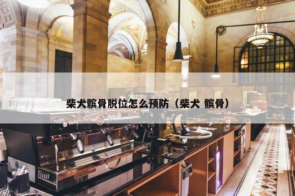 柴犬髌骨脱位怎么预防（柴犬 髌骨）