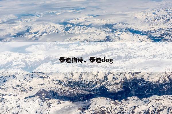 泰迪狗诗，泰迪dog