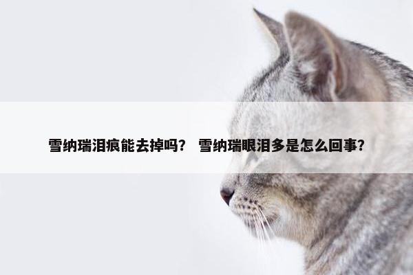 雪纳瑞泪痕能去掉吗？ 雪纳瑞眼泪多是怎么回事？