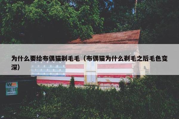 为什么要给布偶猫剃毛毛（布偶猫为什么剃毛之后毛色变深）