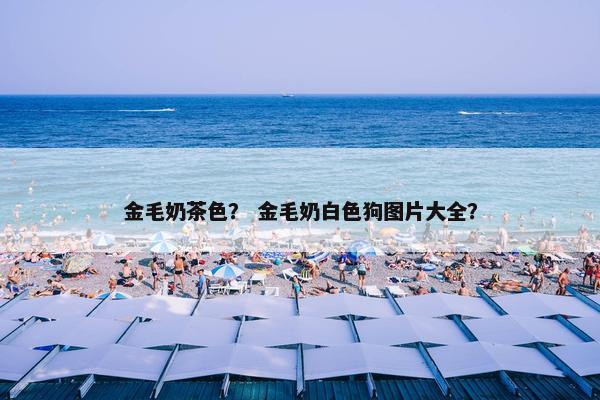 金毛奶茶色？ 金毛奶白色狗图片大全？