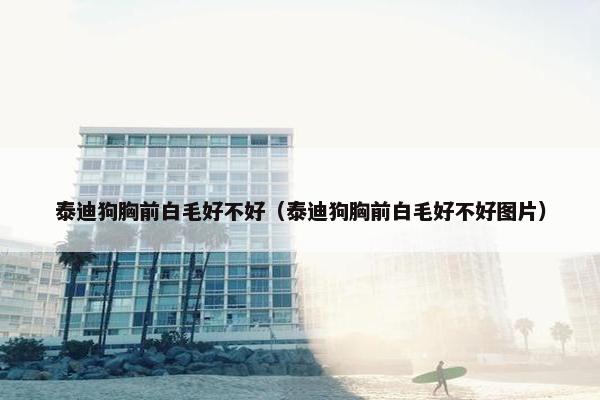 泰迪狗胸前白毛好不好(泰迪狗胸前白毛好不好图片)