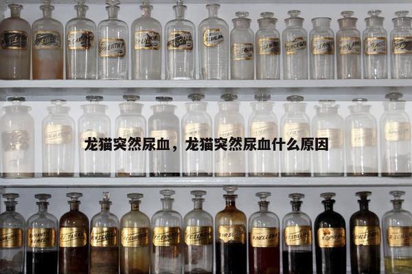 龙猫突然尿血，龙猫突然尿血什么原因