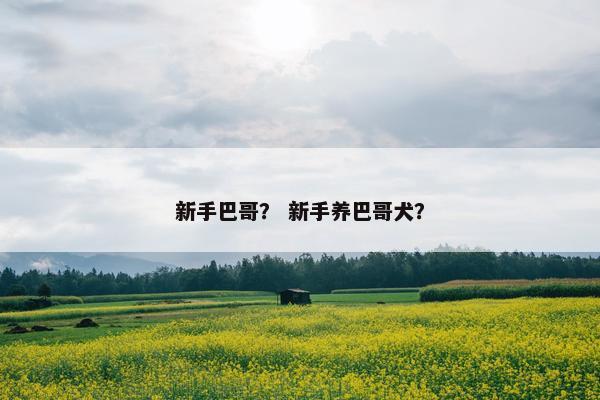 新手巴哥？ 新手养巴哥犬？