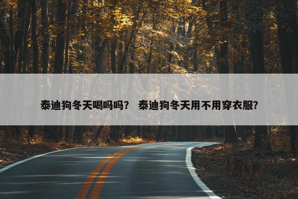 泰迪狗冬天喝吗吗? 泰迪狗冬天用不用穿衣服?