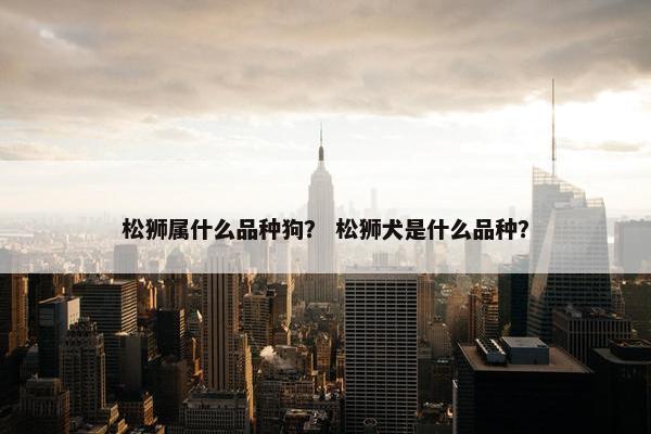 松狮属什么品种狗？ 松狮犬是什么品种？