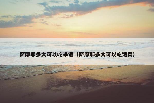 萨摩耶多大可以吃米饭（萨摩耶多大可以吃饭菜）