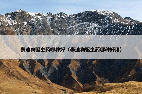 泰迪狗驱虫药哪种好（泰迪狗驱虫药哪种好用）