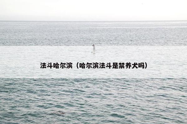 法斗哈尔滨（哈尔滨法斗是禁养犬吗）