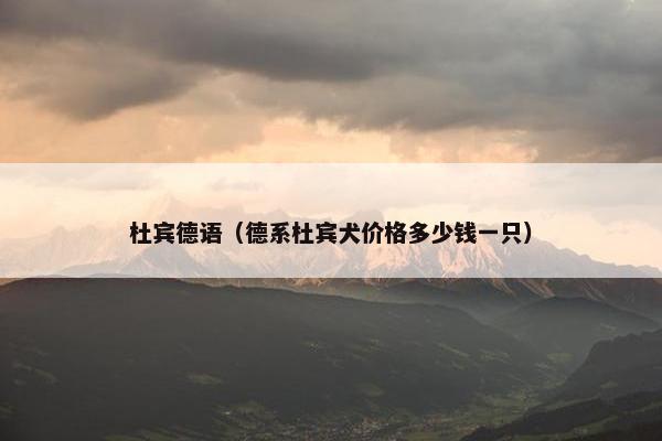 杜宾德语（德系杜宾犬价格多少钱一只）
