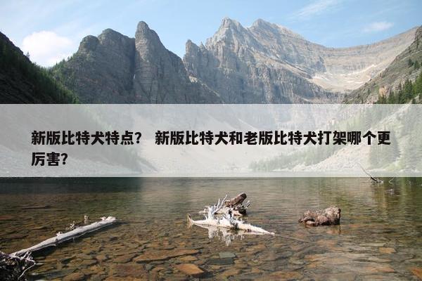 新版比特犬特点？ 新版比特犬和老版比特犬打架哪个更厉害？